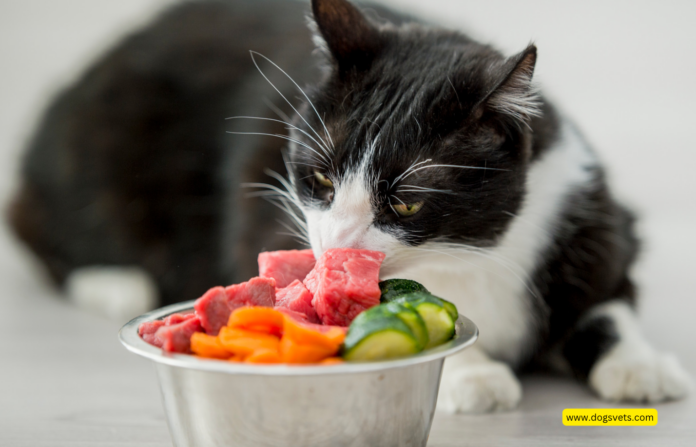 The Purr-fect Portion: Mastering Your Cat's Diet with a Food Calculator